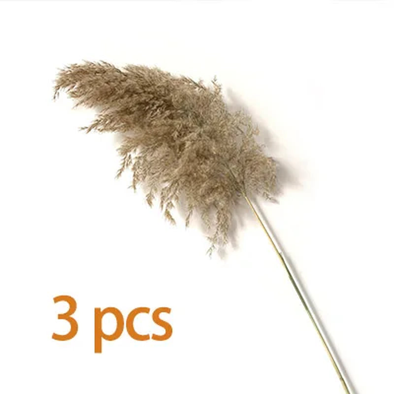 Natural Dried Pampas Grass Bouquet